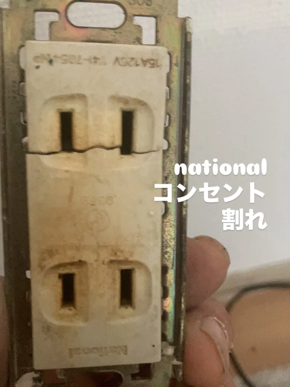 お久しぶりです